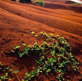 《猛兽派对》英文翻译误会 导致玩家以为有离线模式